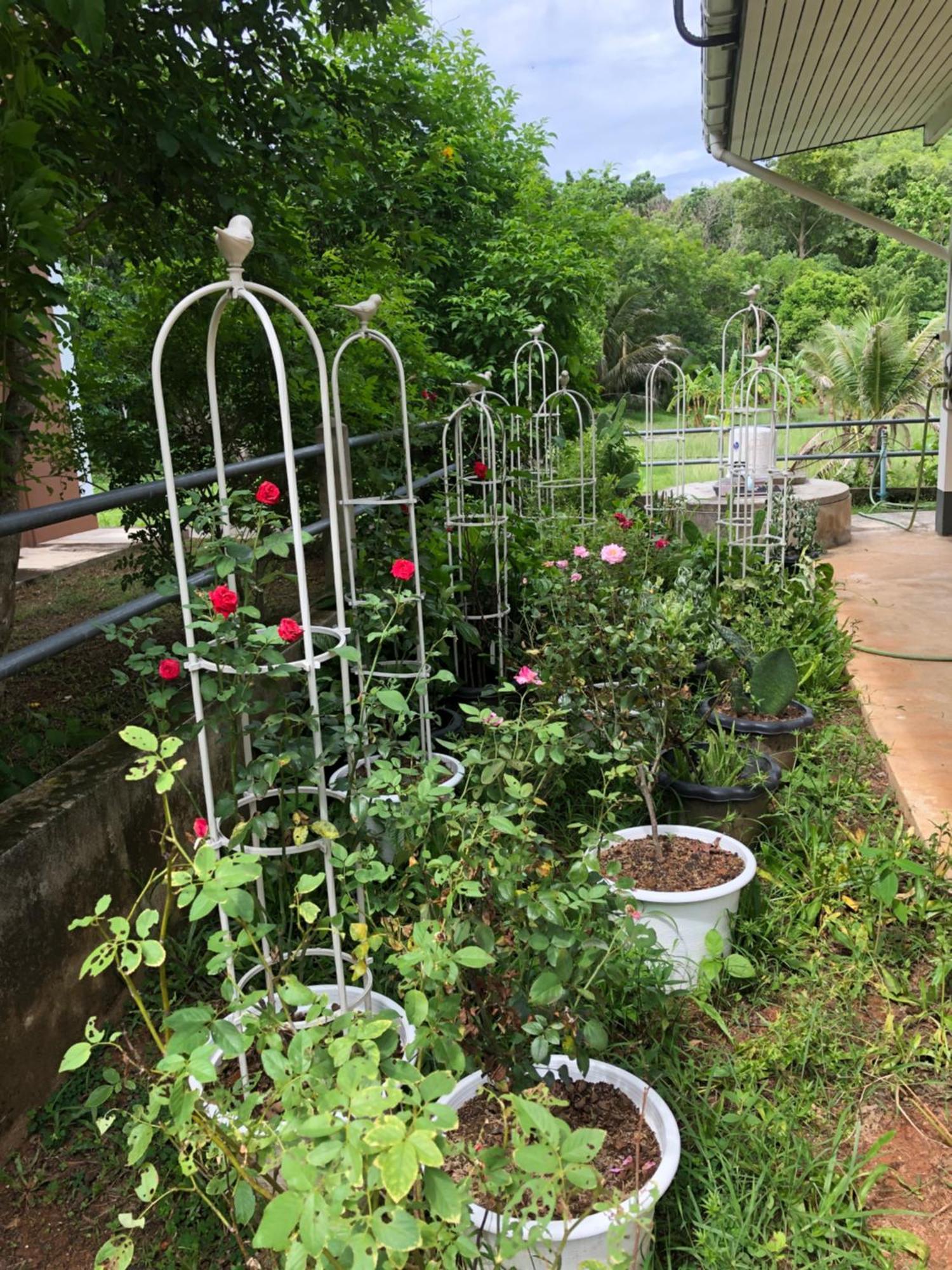 Thanid House Ban Nai Khlong Екстер'єр фото